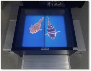 亚美AM8AG·(中国游)官方网站